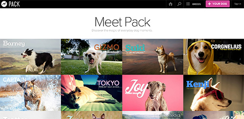 The Pack website screen shot