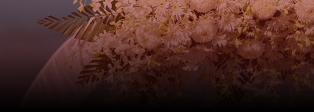 lorem ipsum dolor sit